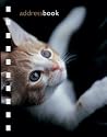 Kitten Pocket Address Book