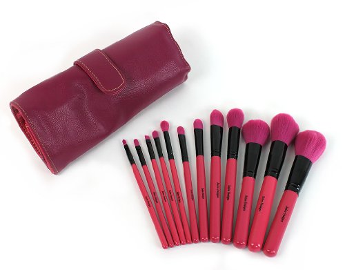 Cosmetic Makeup Brush Professional 12 Piece Set with Bag by Salon Designs(Colors May Vary)
