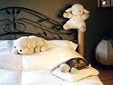 Cloud b Twilight Turtle Constellation Night Light , Sleep Sheep and Lavendar Lab- Set of Three