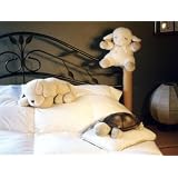 Cloud b Twilight Turtle Constellation Night Light... by Cloud b