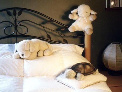 Cloud b Twilight Turtle Constellation Night Light , Sleep Sheep and Lavendar Lab- Set of Three