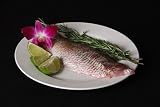 1 Lb. Snapper - Yellowtail