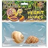 T-REX HERMIT CRAB SHELL MEDIUM 2 PACK