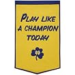 Notre Dame Fighting Irish 24 x 36 Dynasty Wool Banner - Play Like A Champion Today Style