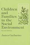 Children and Families in the Social Environment (Modern Applications of Social Work)