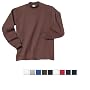 Fruit of the Loom - Lofteez Long Sleeve Mock Turtleneck (230MTR)