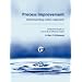 PROCESS IMPROVEMENT: Understanding a Basic Approach - Companion Guidebook to How to Be an Effective Analyst