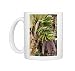 Photo Mugs of DAD-1987 Dwarf Banana from Ardea Wildlife Pets