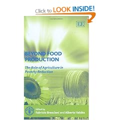 Beyond Food Production: The Role of Agriculture in Poverty Reduction