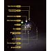 Planet Bike 3044 Blaze 1-Watt LED Headlight