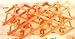from Cookware company Wine Rack folding &free standing  Pine wood 57x40cm Guaranteed quality