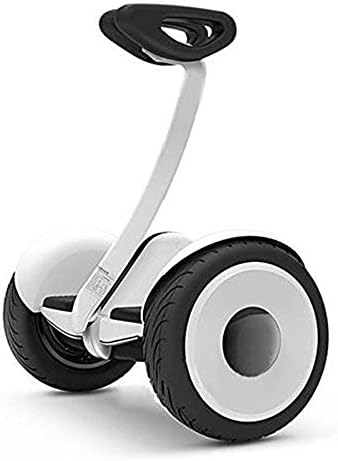 Eocor Electric 2 Wheel Self-balancing Scooter Stand up Scooter Transporter Young Man's Cool Toys Thanksgiving /Christmas Gift