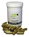 obesity7  - PetAlive SlenderPet Weight Management 60 Caps