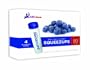 Blueberry sorbet - 6 Packs of 4 Squeezeups