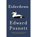eiderdown