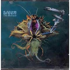 The Mollusk