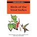 Field Guide to the Birds of the West Indies (Helm Field Guides)