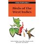 Field Guide to the Birds of the West Indies (Helm Field Guides)