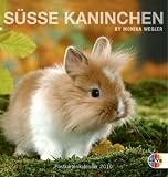 S&uuml;&szlig;e Kaninchen 2010 - Postkartenkalender - 