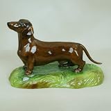 Tan Dachshund
