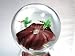 Murano Design Mouth Blown Glass Art Dark Blue Flower Ball Handmade Art Glass Paperweight Pw-355
