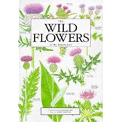 The Wild Flowers of the British Isles