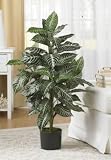 3 &acute; Silk Zebra Plant - B002ZZSE8I