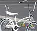 41A3DeBkbhL. SL75  Bike Micargi