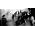 Vignette de Immortal
