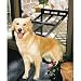 Pet Door Screen Large (Black) (16H x 12W opening)
