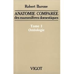 Anatomie compar�e des mammif�res domestiques