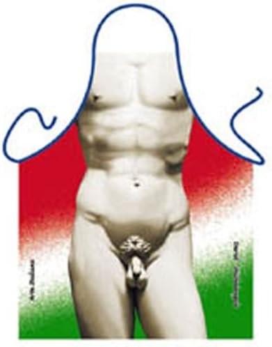 Michelangelo's David  Italian Apron