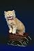 Cats: A Guide to Cat Breeds, Types of Cats, Cat Health, All About Cats with Cat Facts, Cat Training, & Pedigree Cats