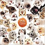 HCL-304 THE CATオールスターカレンダー2006