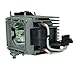 Lutema Infocus SP-LAMP-006 Replacement DLP/LCD Cinema Projector Lamp
