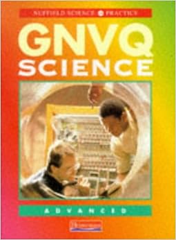 Gnvq advanced information technology picture