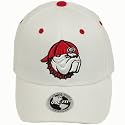Georgia Bulldogs Adult One-Fit Hat