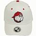 Georgia Bulldogs Adult One-Fit Hat