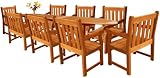 LuuNguyen - Adam Outdoor Hardwood 9-Piece Extension / Expandable Dining Set (Natural Wood Finish)