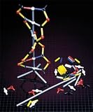 Buy DNA Model Kit by Hubbard Scientific, Co.