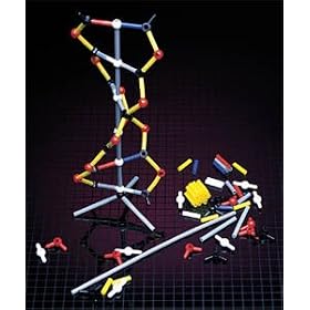 DNA Model Kit