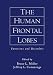 Book The Human Frontal Lobes: Functions and Disorders
