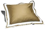 Pinzon Hotel Banded Egyptian Cotton Sateen Euro Sham, Loden