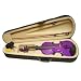 ViolinSmart Solid Wood PURPLE color 4/4 Full Size Teachers Recommended Student Violin + Bow + Case + Rosin Complete Set