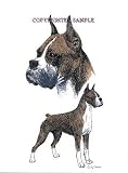 Boxer - Double Image by Cindy Farmer
