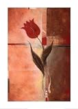 Red Tulip Composition, Fine Art Print by Peter Schuin, 19.75x27.5