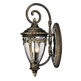 Savoy House Acropolis Medium Tortoise Shell Outdoor Wall Mount