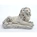 Lion Lying