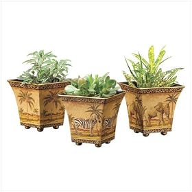 3 GARDEN POTS SAFARI SCENES FLOWER PLANTER PLANT
