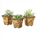 Set of 3 Safari Flower Pots